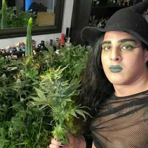 Meet your Posher, Ellie